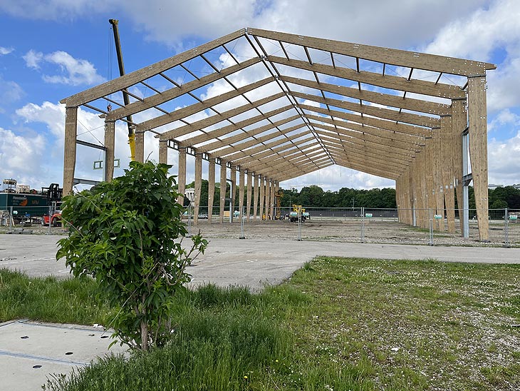 das letzte Bäumchen steht noch: im Hintergrund wird das Grundgerüst der neue Bräurosl errichtet  (©Foto: Martin Schmitz)
